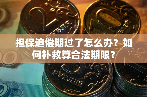 济南担保追偿期过了怎么办？如何补救算合法期限？